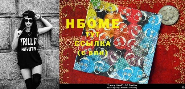прущие грибы Верея