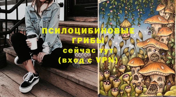 гашик Верхний Тагил
