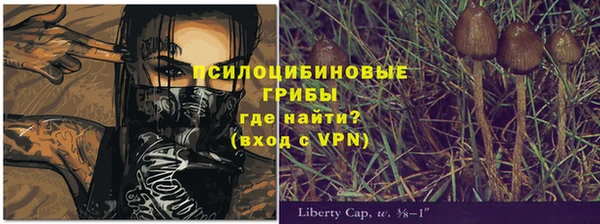 гашик Верхний Тагил