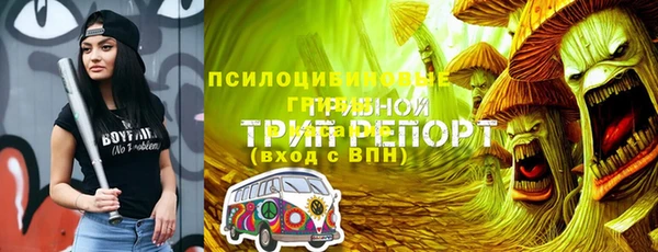 прущие грибы Верея