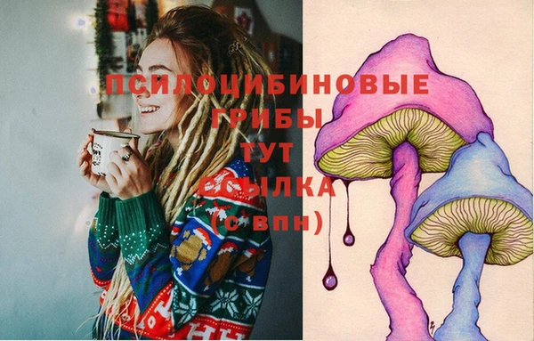 гашик Верхний Тагил