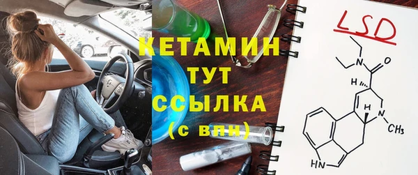 прущие грибы Верея