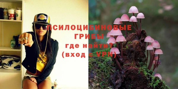 прущие грибы Верея