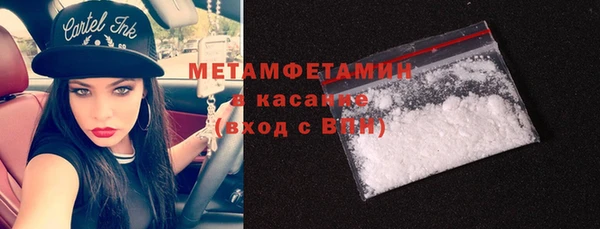 прущие грибы Верея